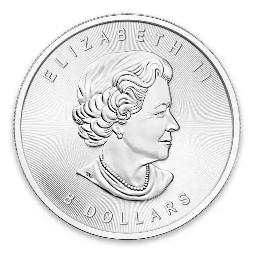 2015 1.25 oz Canadian Silver Bison (2)
