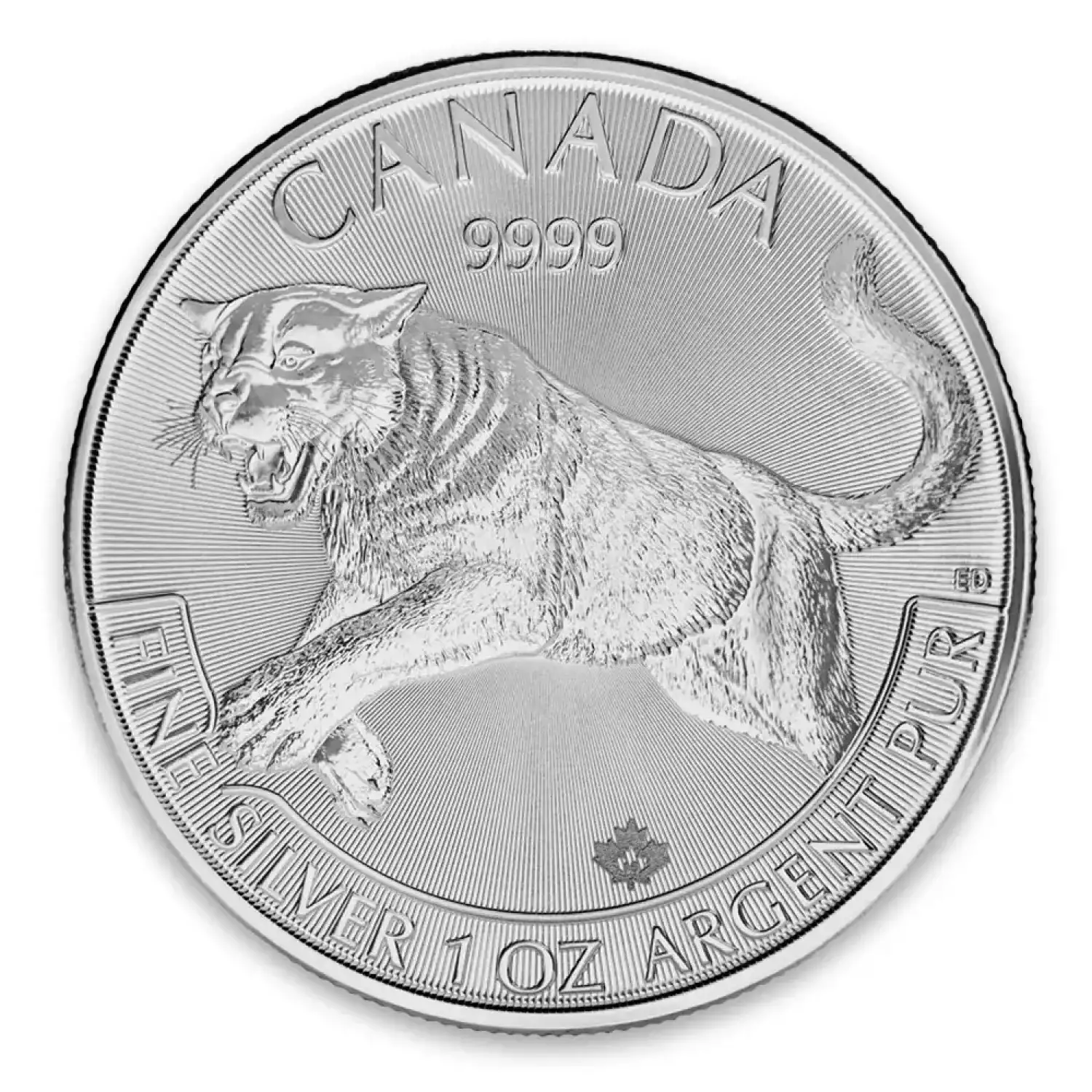 2016 1 oz Canadian Silver Predator Series - Cougar (2)