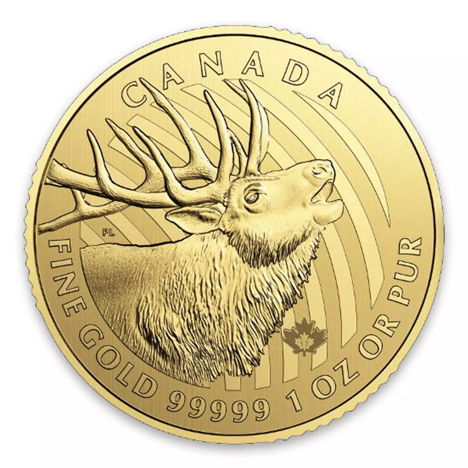 2017 1 oz Canadian Gold Elk - 99999 (2)