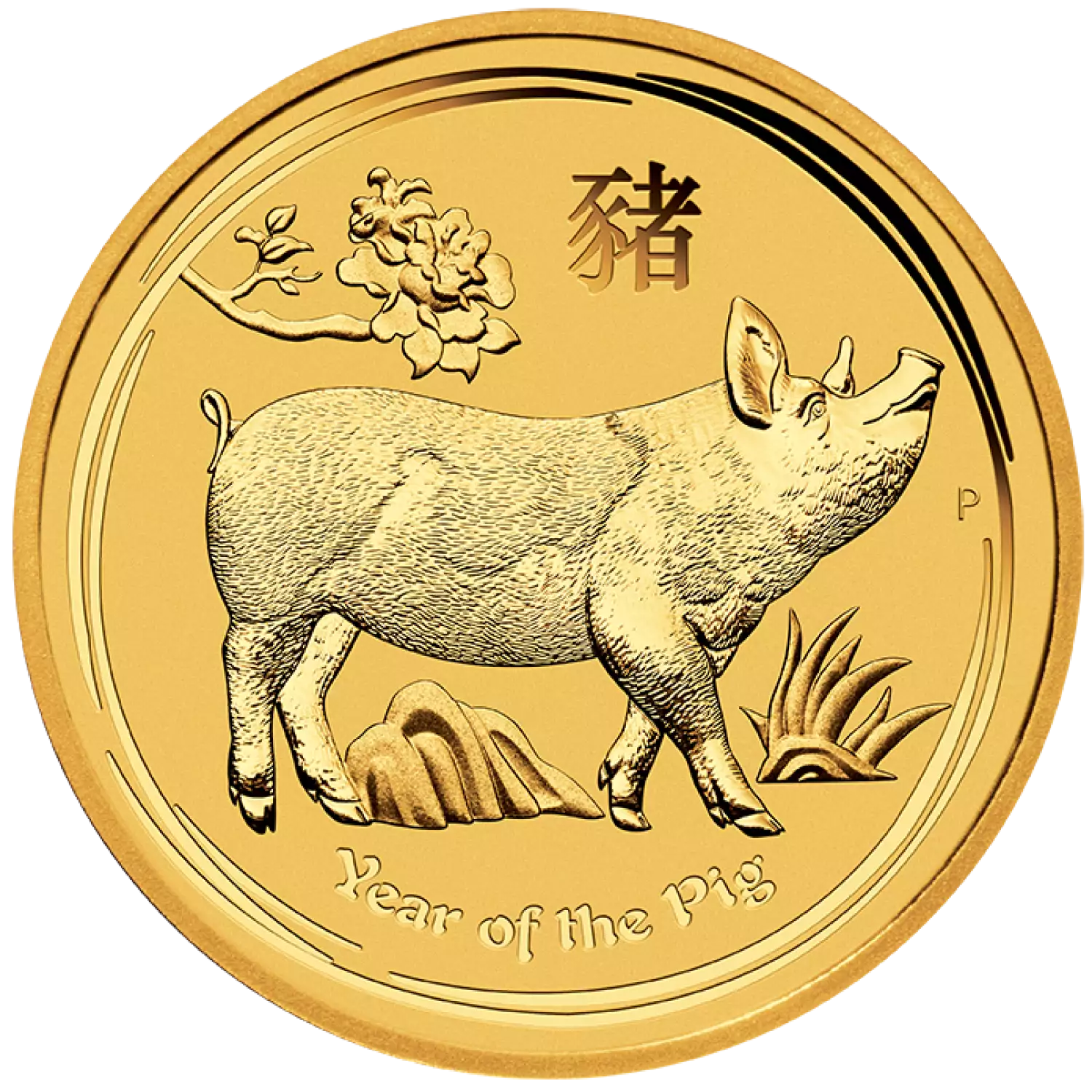 2019 1oz Australian Perth Mint Year of the Boar AU Coin (2)