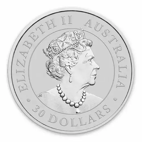 2020 1kg Australian Perth Mint Silver Koala (3)