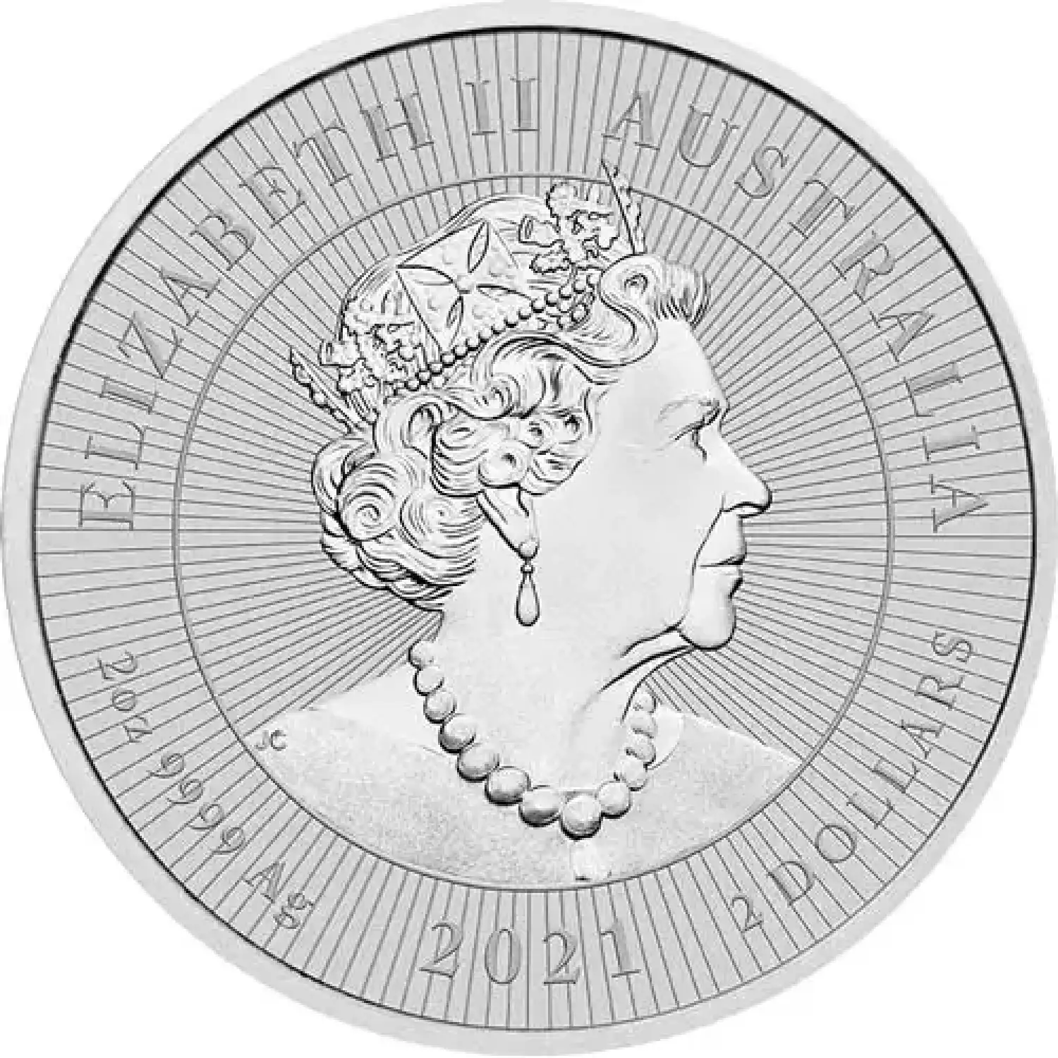 2021 Perth Mint Platypus 2 oz coin (2)