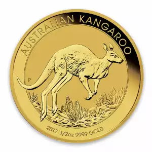 Any Year 1/2 oz Bullion Nugget / Kangaroo Coin (2)